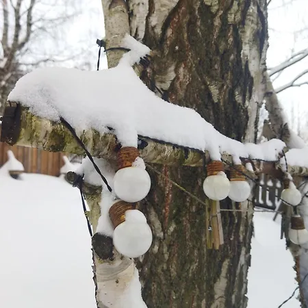 Teosiowo Alpesi faház *